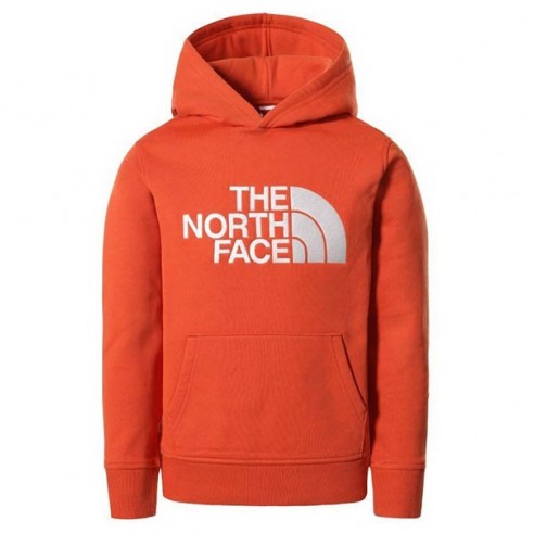 SUDADERA THE NORTH FACE DREW PEAK JUNIOR