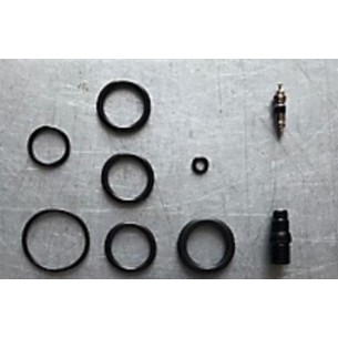SP-TIGES SEIENT ACCESS SERVICE SEAL KIT 20211