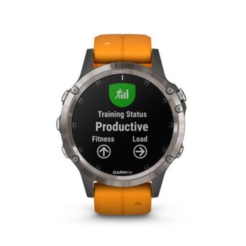 PULSOMETRE GARMIN FENIX 5 PLUS 010-01988-05