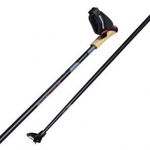 MS-PALS FONS ENDURACE POLE N2009 2