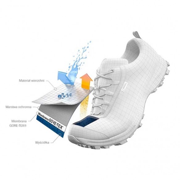 Sabatilles Salomon Speedcross Varion 2 GTX