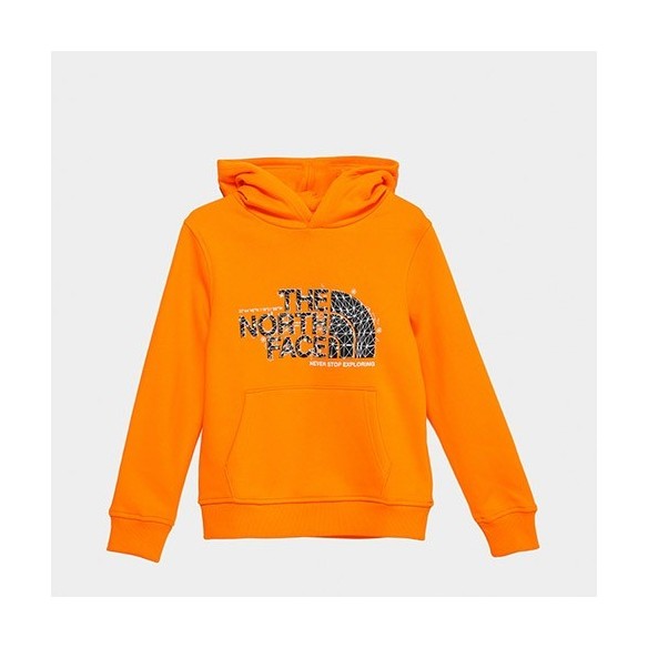 Sudadera Junior The North Face Drew Peak