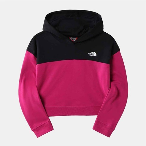 Dessuadora Junior The North Face Drew Peak Cropped