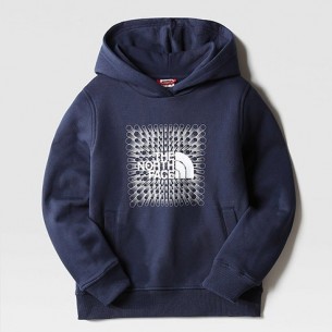 Sweatshirt The North Face Drew Peak Junior
