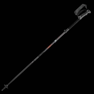 LEK-MUNTANYA PALS NORDIC WALKING 2