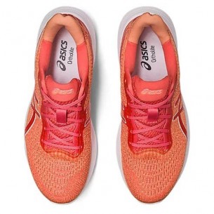 Asics Gel-Pluse 14 Shoes 2