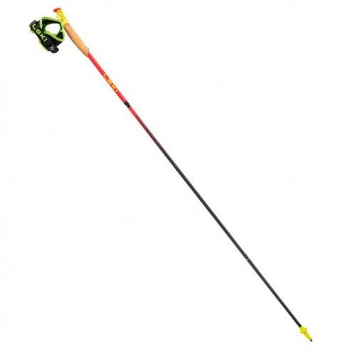 LEK-MUNTANYA PALS NORDIC WALKING