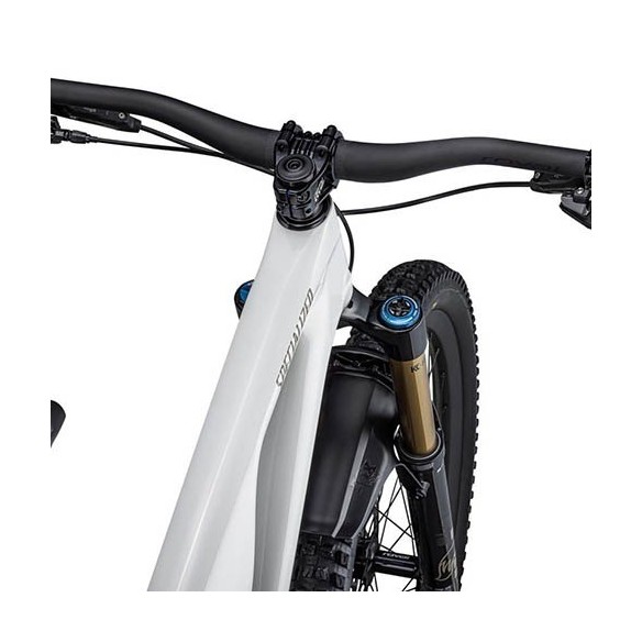 Specialized Stumpjumper EVO Pro Bike (2023)