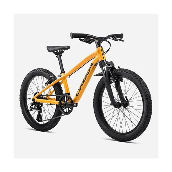 Bicicleta Orbea MX 20 XC (2024)