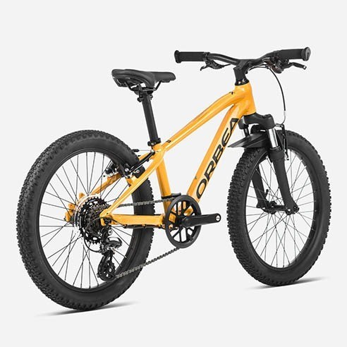 Bicicleta Orbea MX 20 XC (2024)