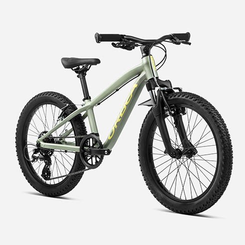 Vélo Orbea MX 20 XC (2024)