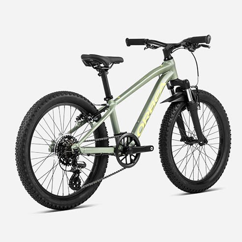 Orbea MX 20 XC Bike (2024)
