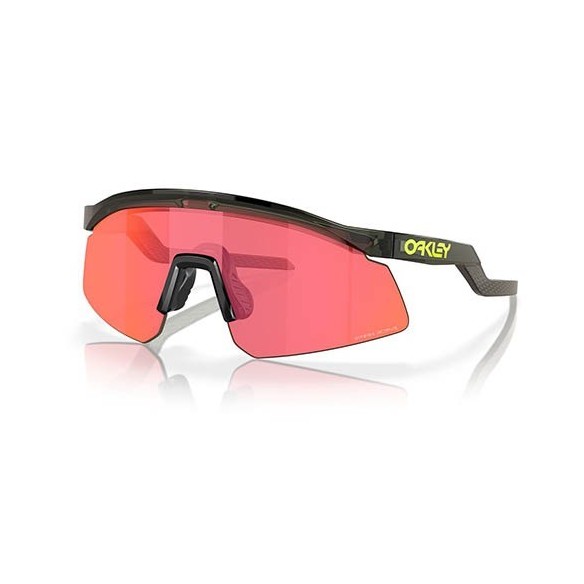 Gafas Oakley Hydra Coalesce Collection