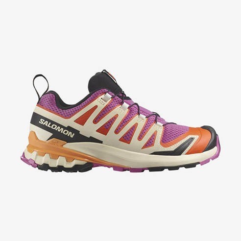 Chaussures Femmes Salomon XA PRO 3D V9