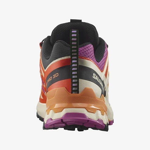 Chaussures Femmes Salomon XA PRO 3D V9