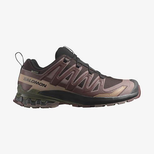 Zapatillas Mujer Salomon XA Pro 3D V9 GTX