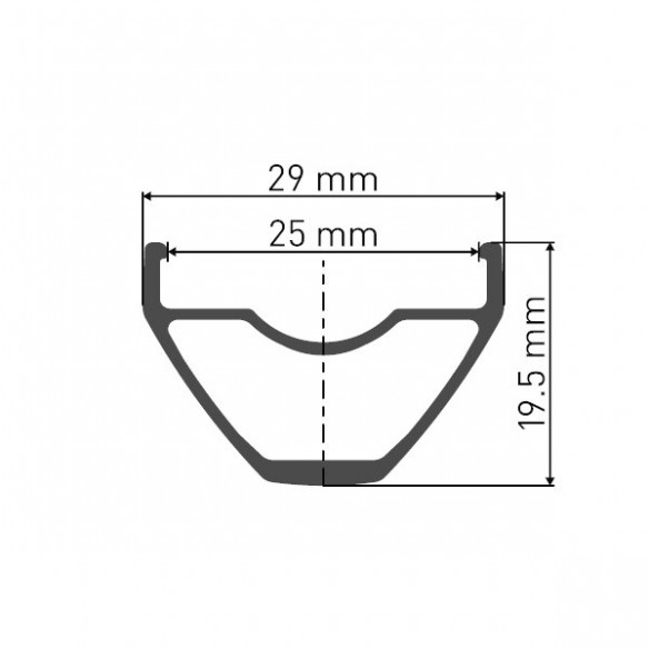 Rear wheel trasera DT Swiss Spline 29 CL 12X142mm