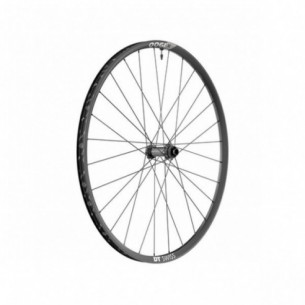 Front wheel DT Swiss X1900 CL 15x110mm