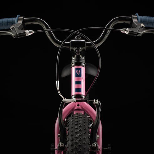 Trek Precaliber 16 Bike (2025)