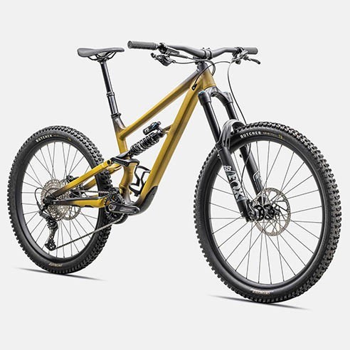 Specialized Status 170 2 Bike (2025)