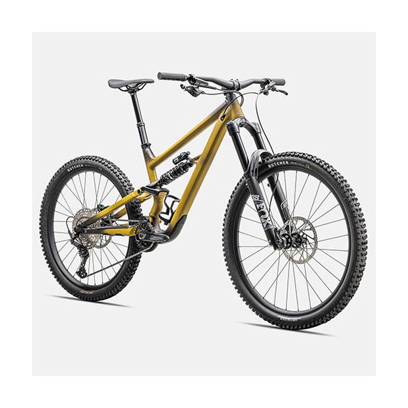 Bicicleta Specialized Status 170 2 (2025)