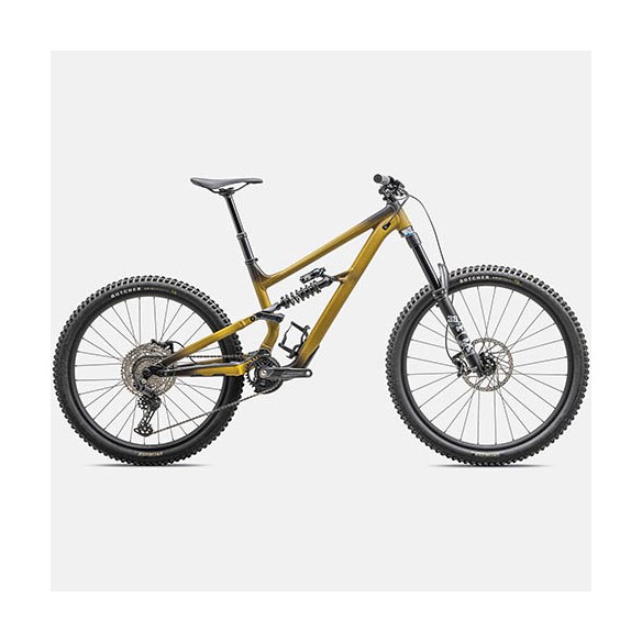 Bicicleta Specialized Status 170 2 (2025)