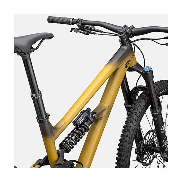 Specialized Status 170 2 Bike (2025)