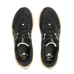 Chaussures Femmes Asics Gel-Trabuco Terra 2 2