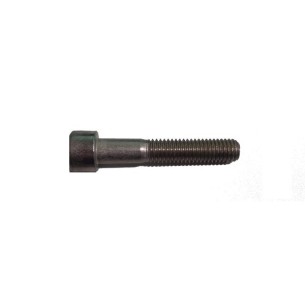 Look Epost long steel screw M8/44