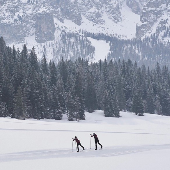 MS-SKI SKATING ENDURACE SKIN 60-