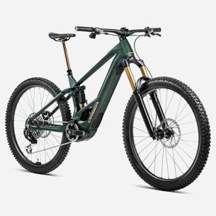 Orbea Wild M-Team Bike (2025) 2