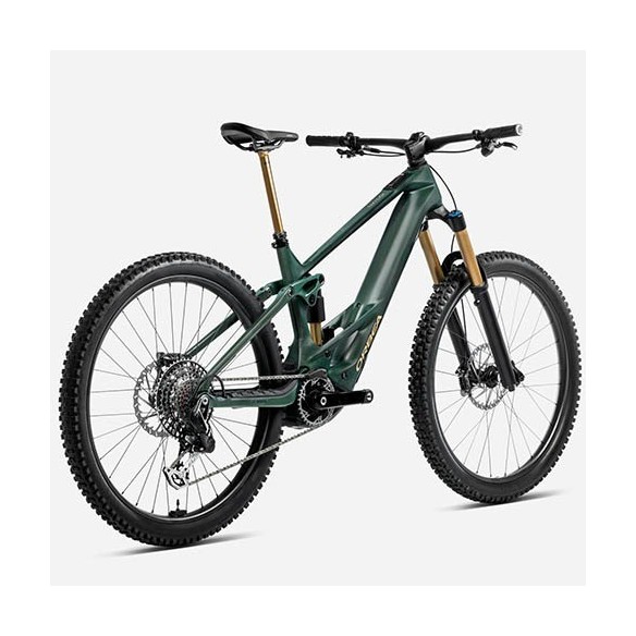 Bicicleta Orbea Wild M-Team (2025)