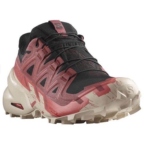 Chaussures Femme Salomon Speedcross 6 GTX