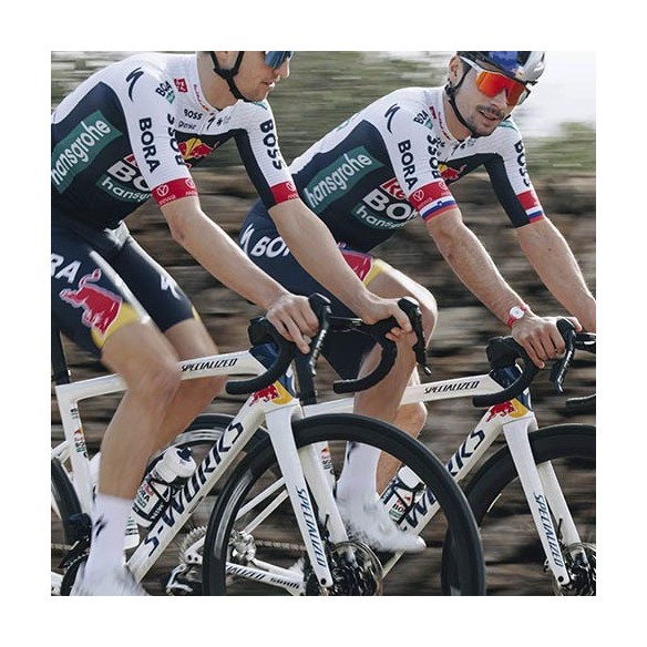Specialized S-Works Tarmac SL8 Red Bull - BORA - Hansgrohe Frame (New)