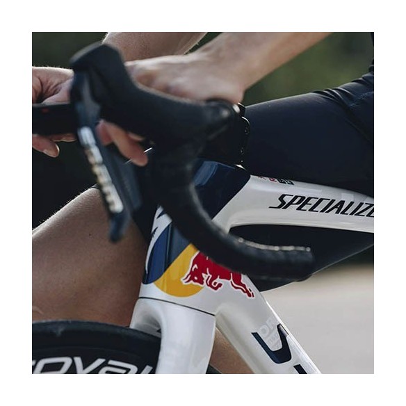 Specialized S-Works Tarmac SL8 Red Bull - BORA - Hansgrohe Frame (New)