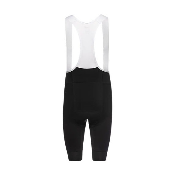 GoreWear Swiftride Bib Shorts