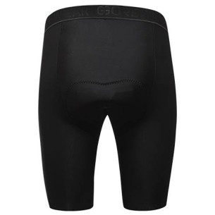 GoreWear Fernflow Liner Shorts 2