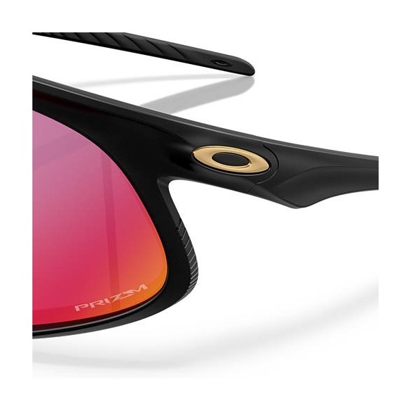 Gafas Oakley RSLV
