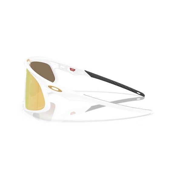 Ulleres Oakley RSLV