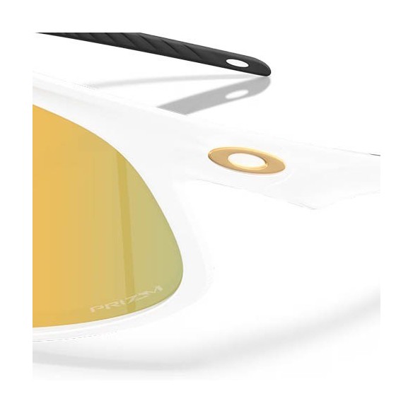 Ulleres Oakley RSLV