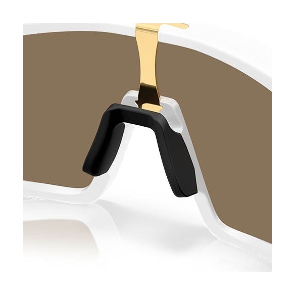 Ulleres Oakley RSLV