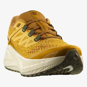 Zapatillas Trail Salomon Aero Blaze 3 GRVL