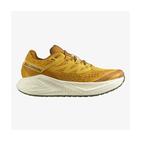 Zapatillas Trail Salomon Aero Blaze 3 GRVL