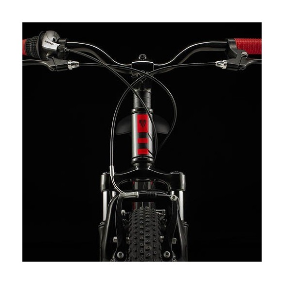Bicicleta Trek Precaliber 20 (2026)