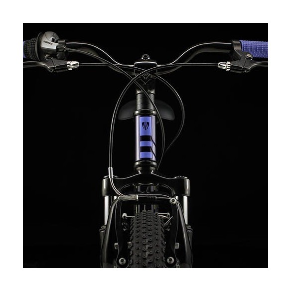 Bicicleta Trek Precaliber 20 (2026)