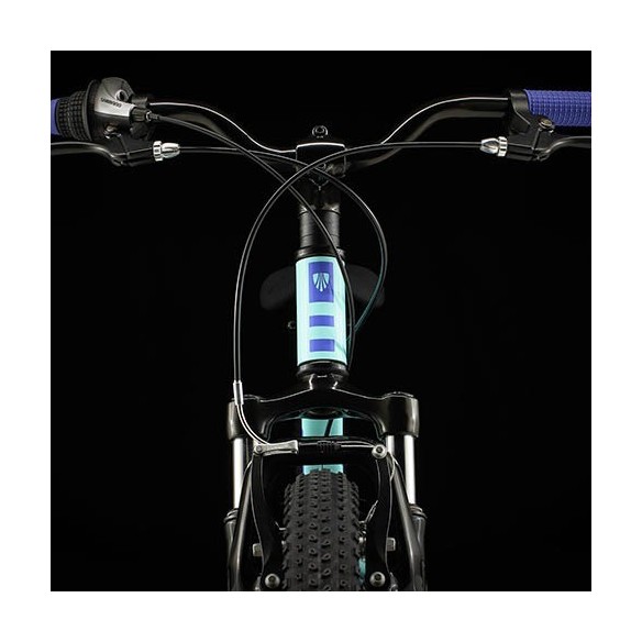 Trek Precaliber 24 Bike (2026)