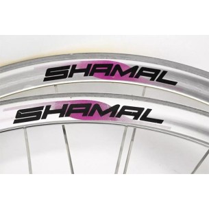 Campagnolo Shamal V-brake rear wheel 8 speed 2
