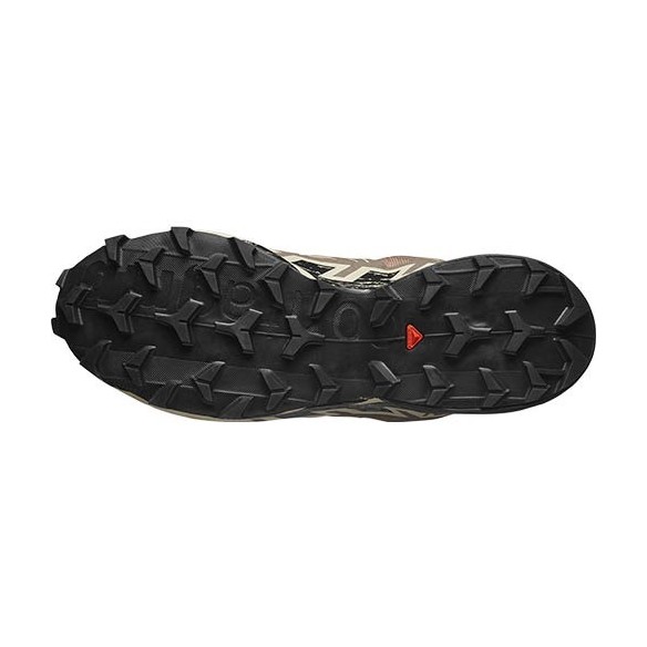Chaussures Trail Salomon Speedcross 6 GTX