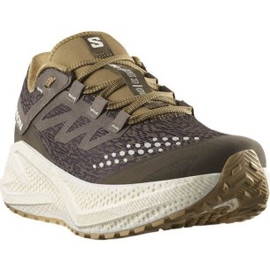 Zapatillas Trail Salomon Aero Glide 3 GRVL