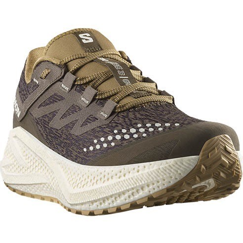 Zapatillas Trail Salomon Aero Glide 3 GRVL